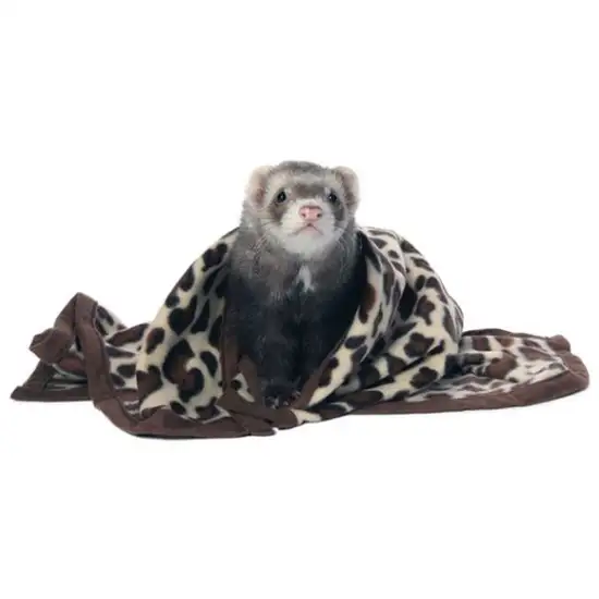 Marshall Designer Fleece Blanket for Small Animals Photo 1