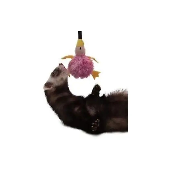 Marshall Ferret Bungee Pull Toy Photo 2