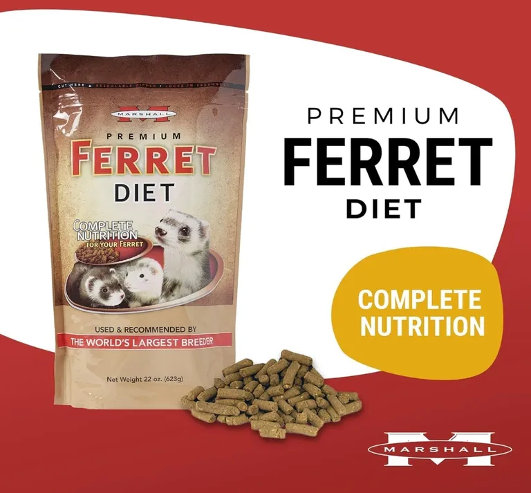 Marshall Premium Ferret Diet Complete Nutrition for Your Ferret Photo 3