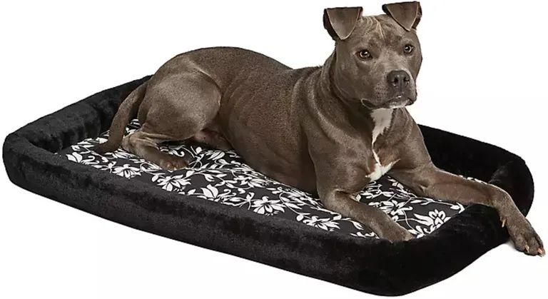 MidWest Quiet Time Bolster Bed Floral for Dogs Photo 2