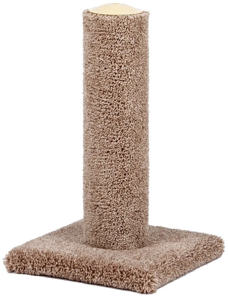 North American Urban Cat Economy Scratching Post Photo 1