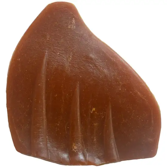 Nutri Chomps Pig Ear Shaped Dog Treat Chicken Flavor Photo 3