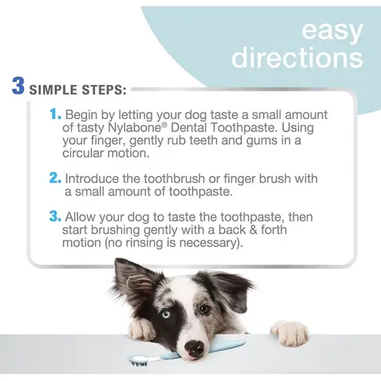 Nylabone Advanced Oral Care Dental Kit Photo 4