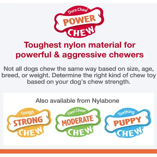 Nylabone Dura Chew Original Dog Ring - Chicken Flavor Photo 3