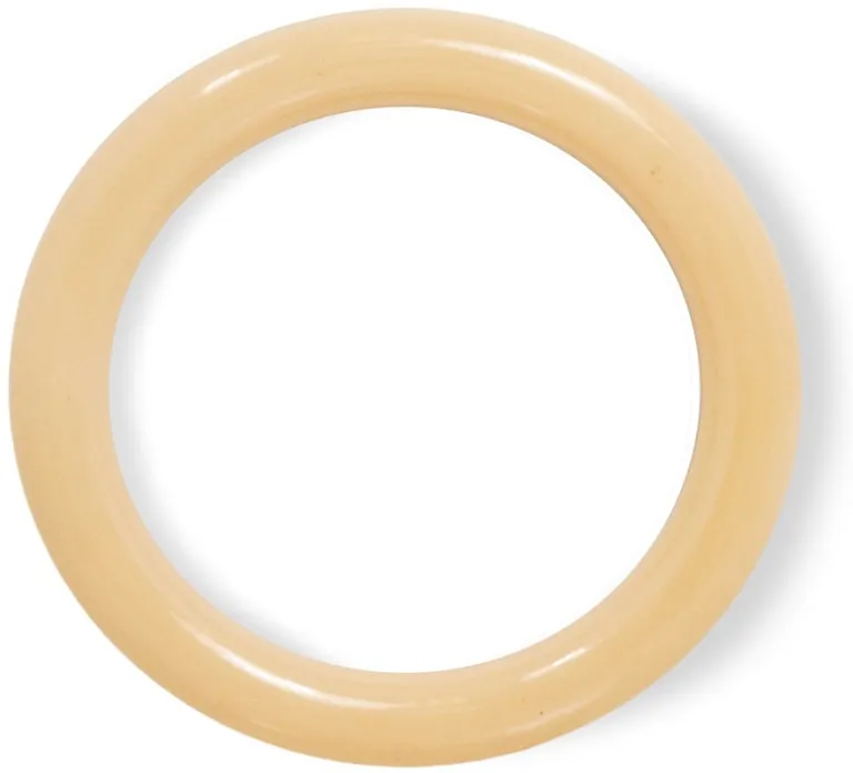 Nylabone Dura Chew Original Dog Ring - Chicken Flavor Photo 5