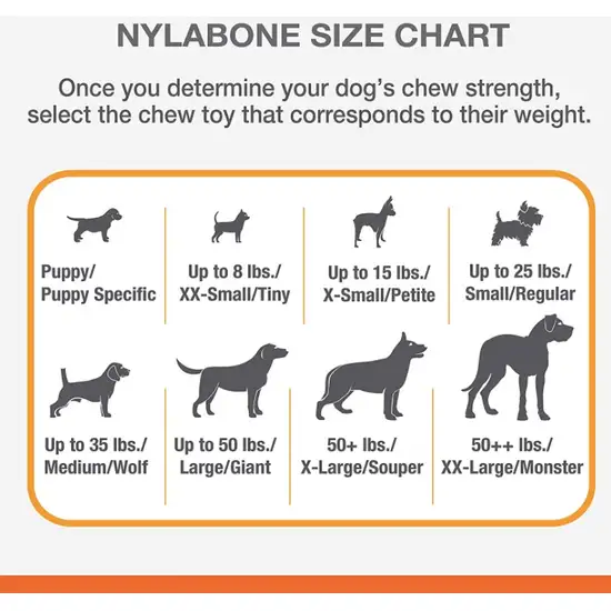 Nylabone Dura Chew Original Dog Ring - Chicken Flavor Photo 4