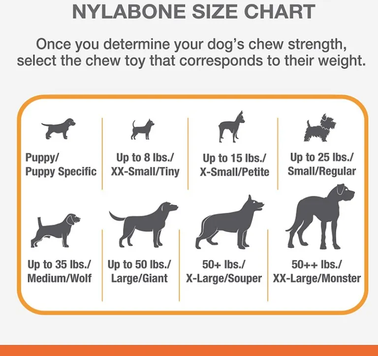 Nylabone Dura Chew Original Dog Ring - Chicken Flavor Photo 3