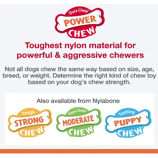 Nylabone Dura Chew Power Chew Bone Chicken Flavor Photo 3