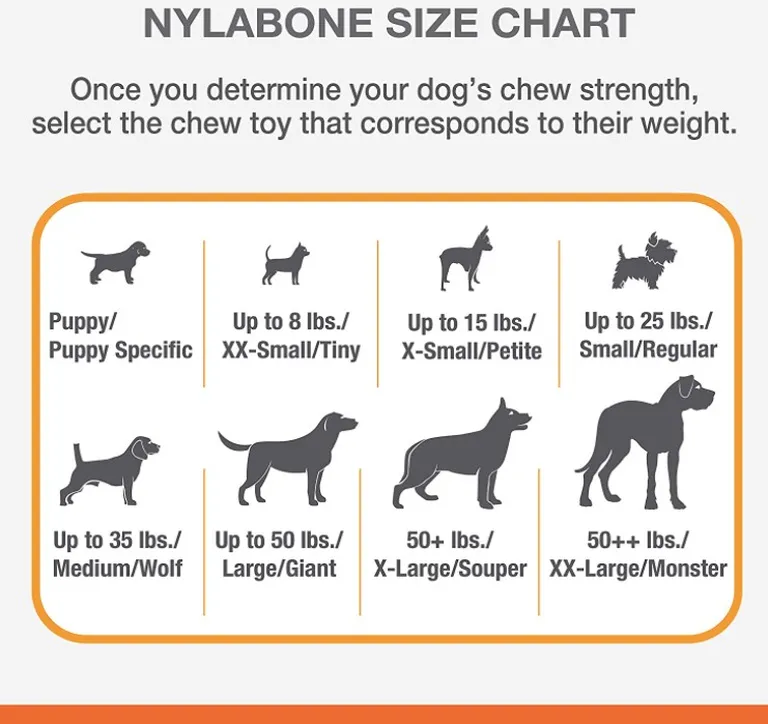 Nylabone Dura Chew Smooth White Dog Bone - Chicken Flavor Photo 4