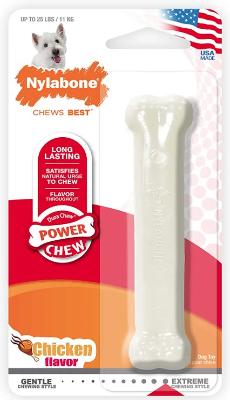 Nylabone Dura Chew Smooth White Dog Bone - Chicken Flavor Photo 1