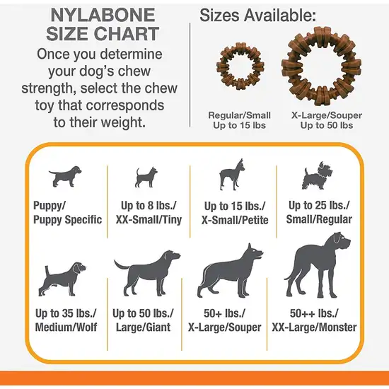 Nylabone Dura Chew Textured Ring Flavor Medley Small Photo 5