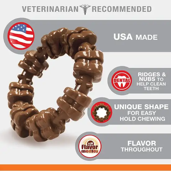 Nylabone Dura Chew Textured Ring Flavor Medley Small Photo 3