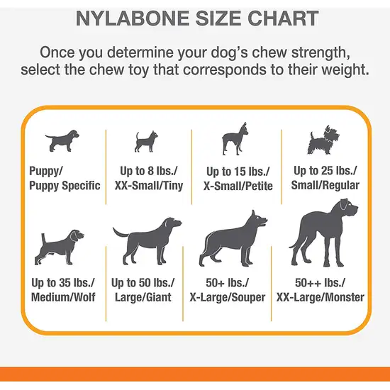 Nylabone Essentials Power Chew Barbell Meaty Medley Flavor Photo 2