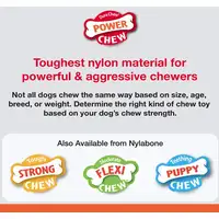 Photo of Nylabone Essentials Power Chew Barbell Meaty Medley Flavor