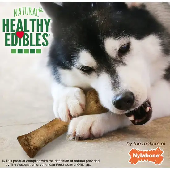 Nylabone Healthy Edibles Wholesome Dog Chews - Bacon Flavor Photo 6