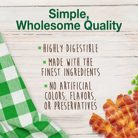 Nylabone Healthy Edibles Wholesome Dog Chews - Bacon Flavor Photo 3