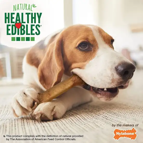 Nylabone Healthy Edibles Wholesome Dog Chews - Bacon Flavor Photo 4