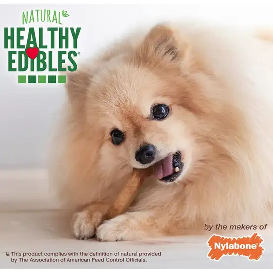Nylabone Healthy Edibles Wholesome Dog Chews - Roast Beef Flavor Photo 8
