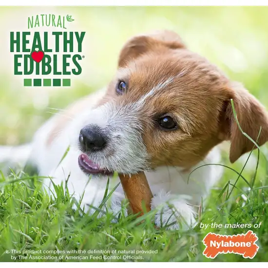 Nylabone Healthy Edibles Wholesome Dog Chews - Variety Pack Photo 6