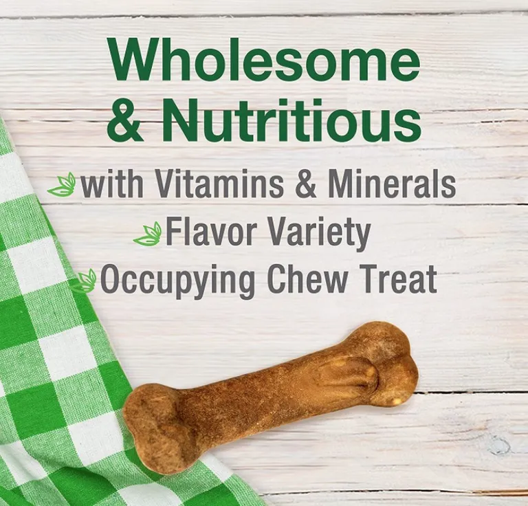 Nylabone Healthy Edibles Wholesome Dog Chews - Variety Pack Photo 3