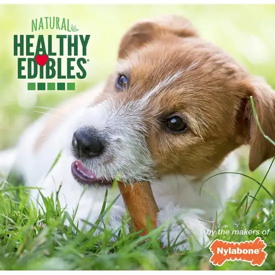 Nylabone Healthy Edibles Wholesome Dog Chews - Variety Pack Photo 6