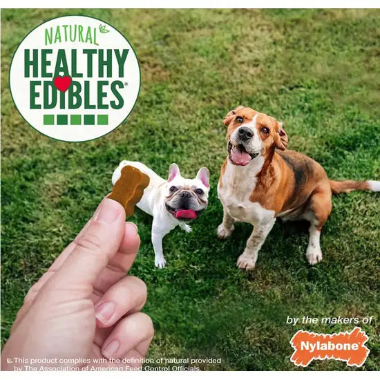 Nylabone Natural Healthy Edibles Bacon Chewy Bites Dog Treats Photo 6
