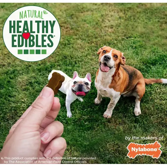 Nylabone Natural Healthy Edibles Beef & Cheese Chewy Bites Dog Treats Photo 8