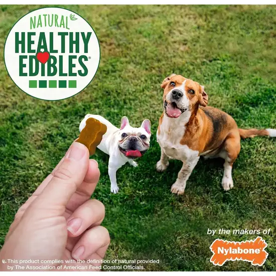 Nylabone Natural Healthy Edibles Chicken Chewy Bites Dog Treats Photo 7