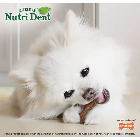 Nylabone Natural Nutri Dent Filet Mignon Dental Chews - Limited Ingredients Photo 7
