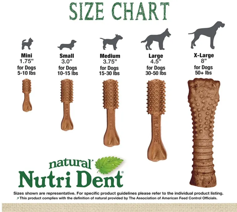 Nylabone Natural Nutri Dent Filet Mignon Dental Chews - Limited Ingredients Photo 5