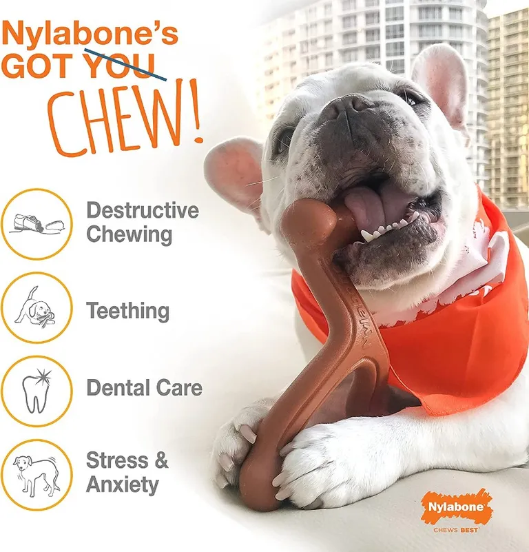 Nylabone Power Chew Arch Bone Dental Toy Beef Flavor Photo 4