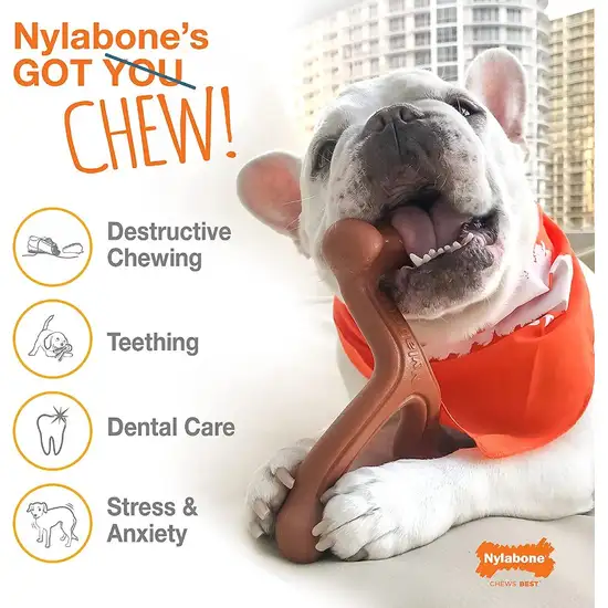 Nylabone Power Chew Arch Bone Dental Toy Beef Flavor Photo 4