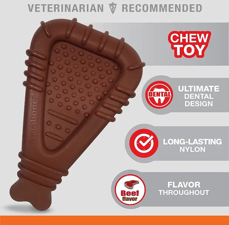 Nylabone Power Chew Arch Bone Dental Toy Beef Flavor Photo 3