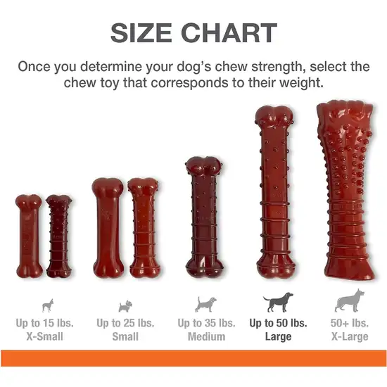 Nylabone Power Chew Basted Blast Chew Bone Bacon and Steak Flavor Giant Photo 7