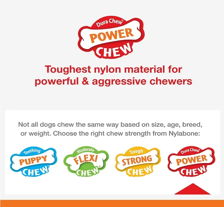 Nylabone Power Chew Basted Blast Chew Bone Bacon and Steak Flavor Giant Photo 5