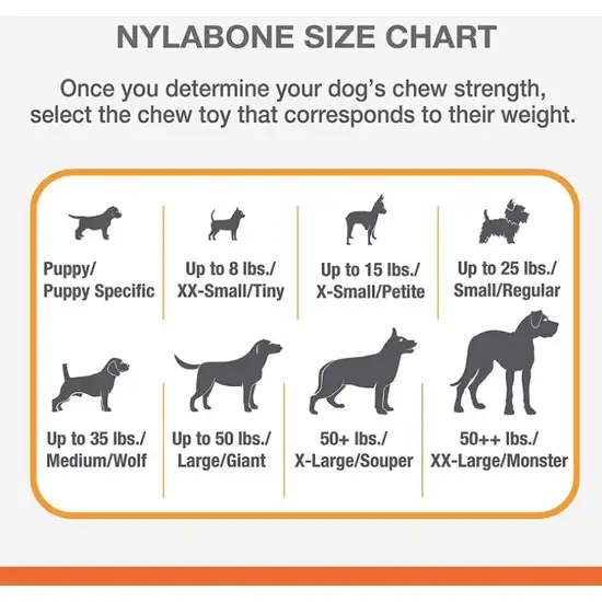 Nylabone Power Chew Cheese Bone Dog Toy Photo 5