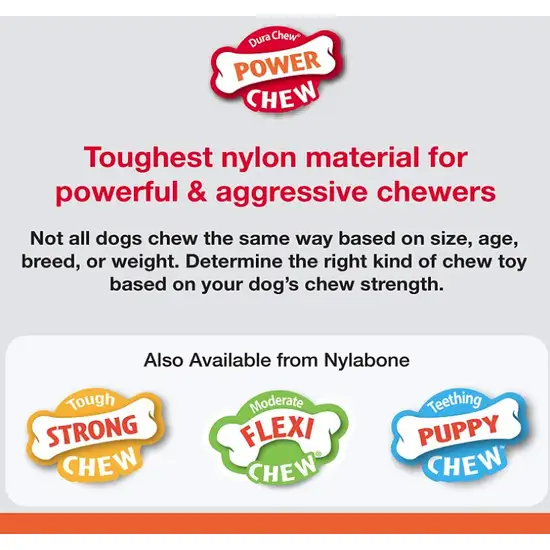 Nylabone Power Chew Cheese Bone Dog Toy Photo 6