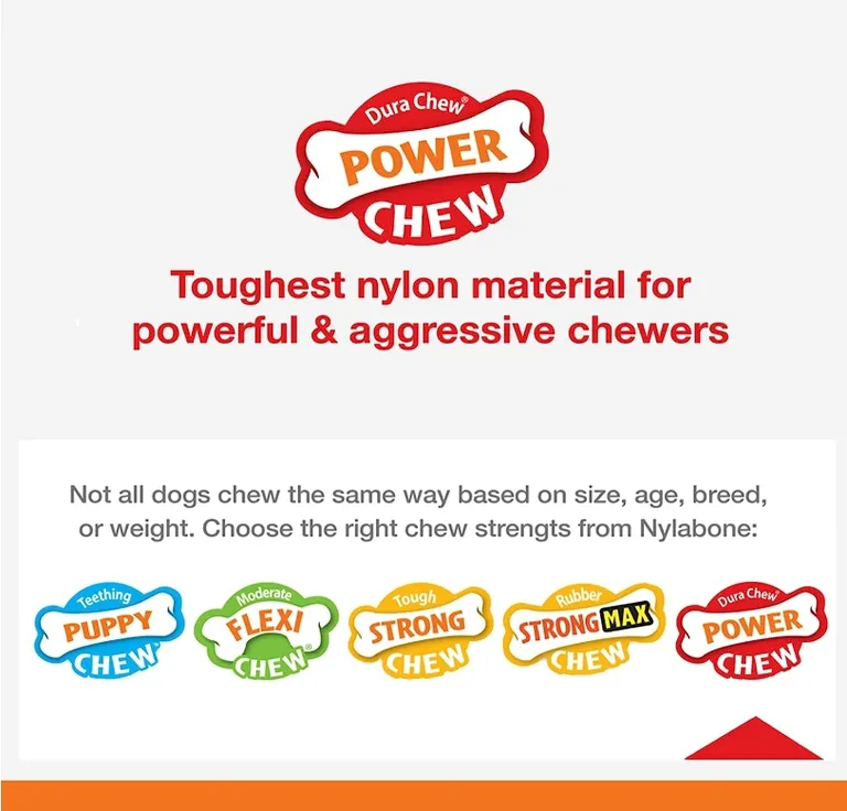 Nylabone Power Chew Flavor Frenzy Chew Beef Jerky Flavor Giant Photo 5