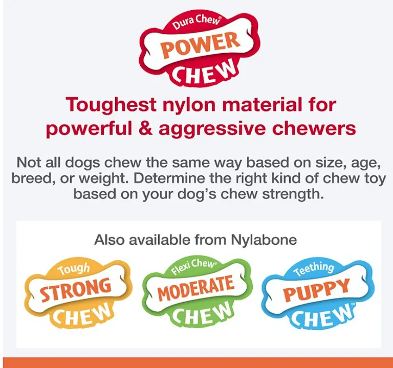 Nylabone Power Chew Shish Kabob Mess Free Nylon Chew Toy Chicken Jerky Flavor Souper Photo 4