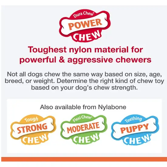 Nylabone Power Chew Shish Kabob Mess Free Nylon Chew Toy Chicken Jerky Flavor Souper Photo 4
