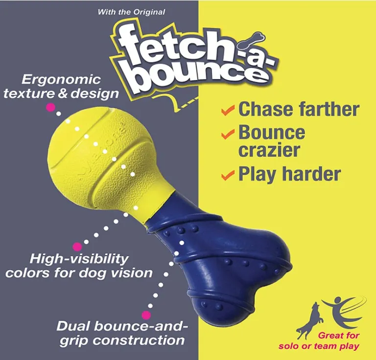 Nylabone Power Play Fetch-a-Bounce Rubber 5