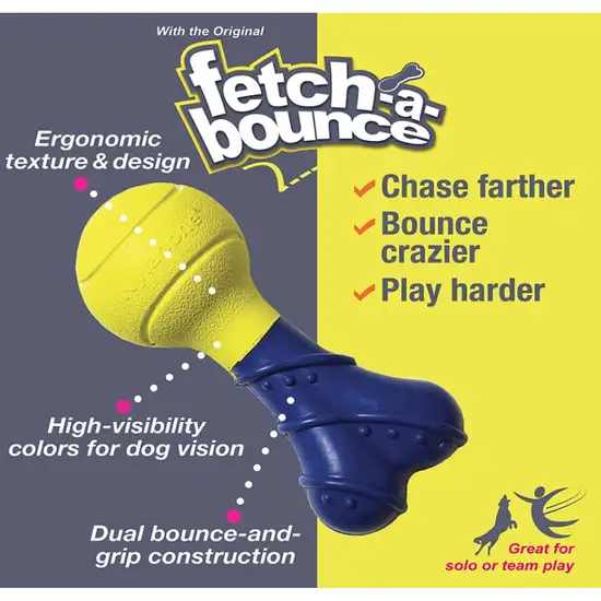 Nylabone Power Play Fetch-a-Bounce Rubber 5