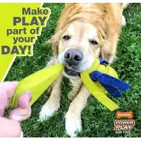 Photo of Nylabone Power Play Shake-a-Toss Dog Toy Dog Toy Small