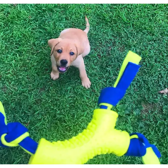 Nylabone Power Play Shake-a-Toss Dog Toy Dog Toy Small Photo 2