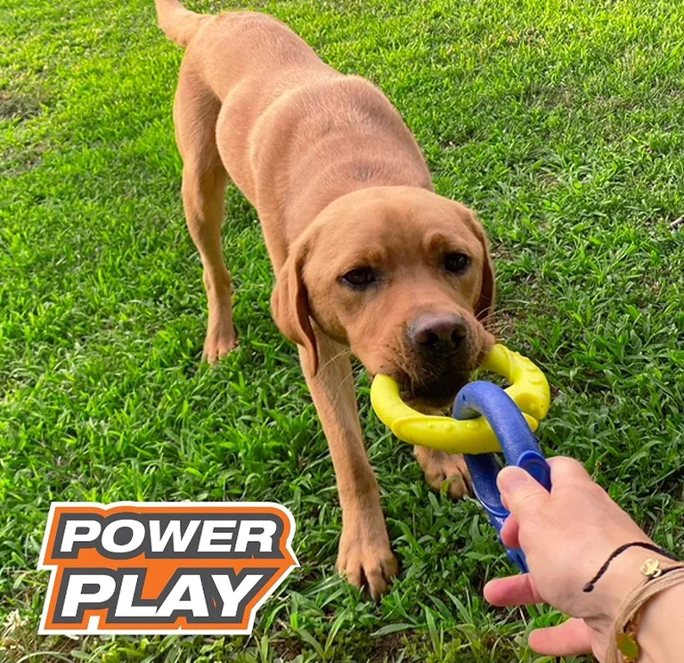 Nylabone Power Play Tug-a-Ball Dog Toy Large Photo 4