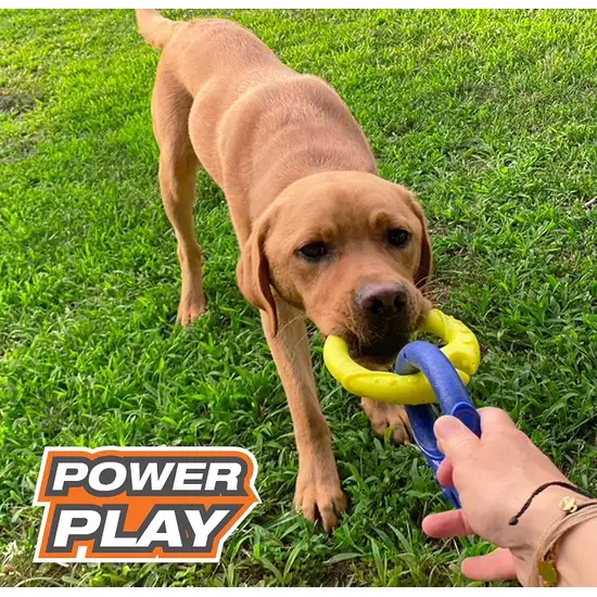 Nylabone Power Play Tug-a-Ball Dog Toy Large Photo 4