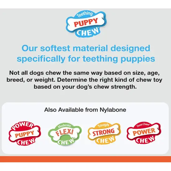 Nylabone Puppy Chew Color Changing Chill N Chew Bone - Mini Souper Photo 3