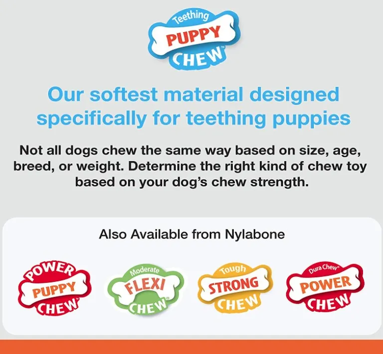 Nylabone Puppy Chew Dental Bone Chew Toy - Blue Photo 3
