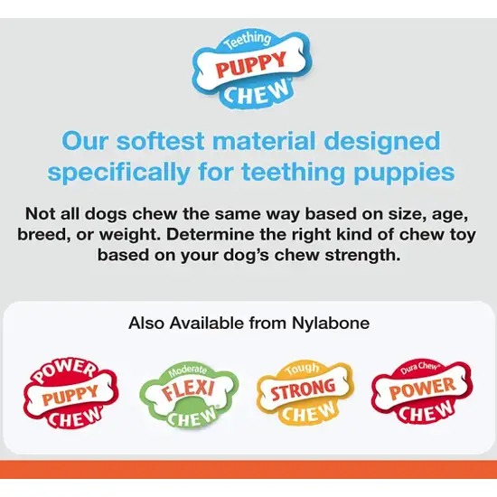 Nylabone Puppy Chew Dental Bone Chew Toy - Blue Photo 3