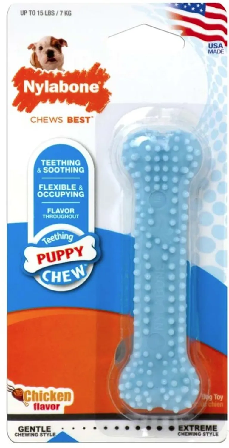 Nylabone Puppy Chew Dental Bone Chew Toy - Blue Photo 1